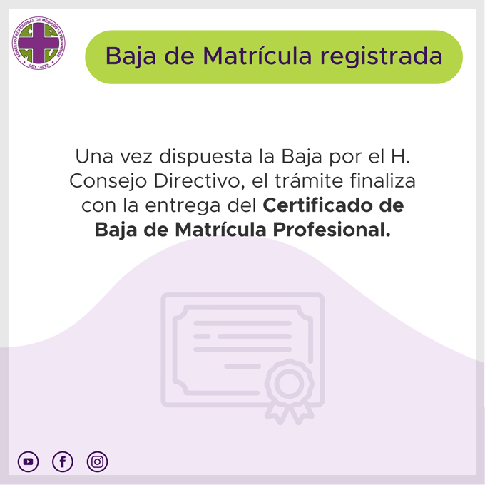 Baja 4