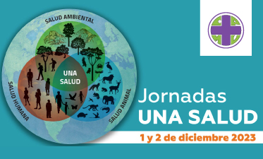 Jornadas 
