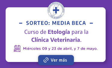 Sorteo media Beca CMVSFE