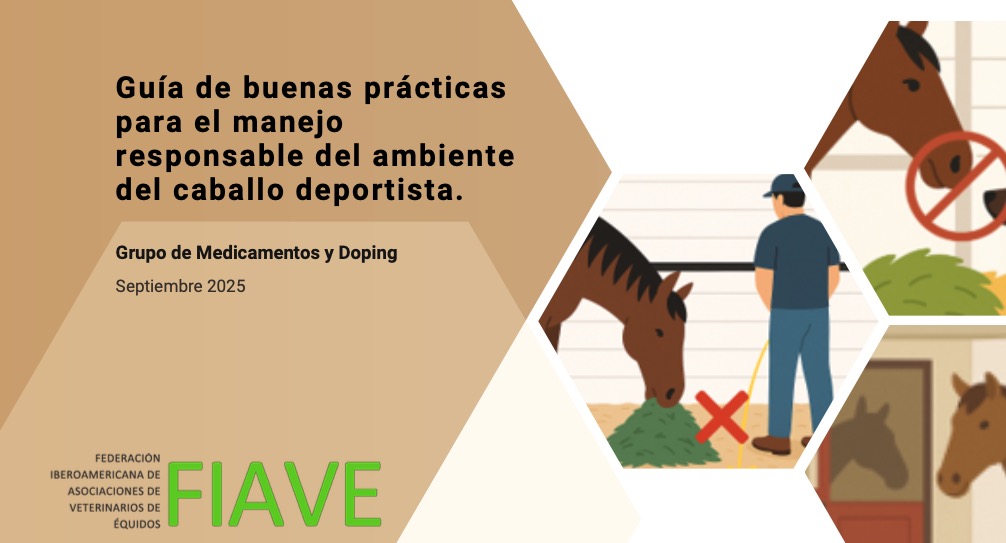 Previo GUIA fiave
