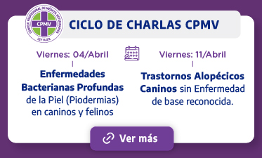 Ciclo de Charlas - CPMV