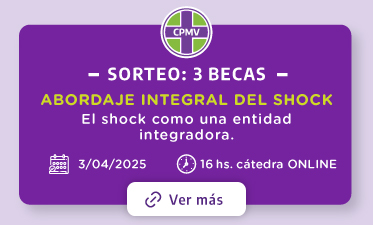 Sorteo 3 Becas - SinapsisVet