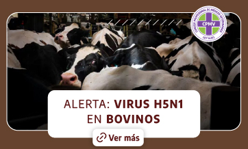 alerta esporotricosis CPMV