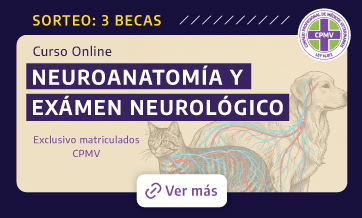 formulario