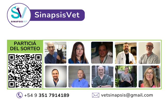sorteo SINAPSIS 2