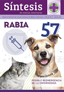 Síntesis Edición Nº57