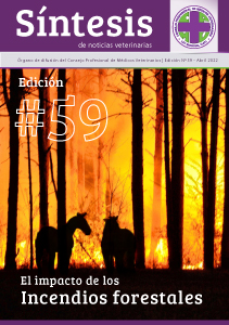 Síntesis Edición Nº59