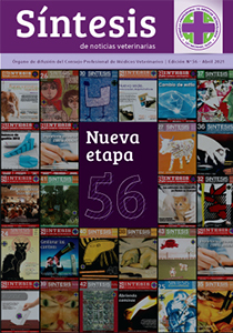 Síntesis Edición Nº56