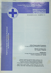 Síntesis Edición Nº13