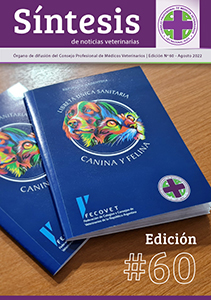 Síntesis Edición Nº60