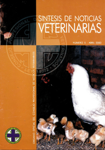 Síntesis Edición Nº05