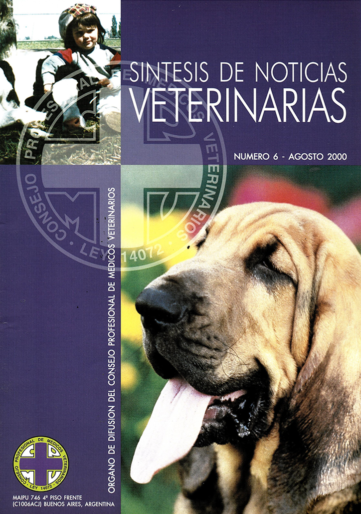 Síntesis Edición Nº06