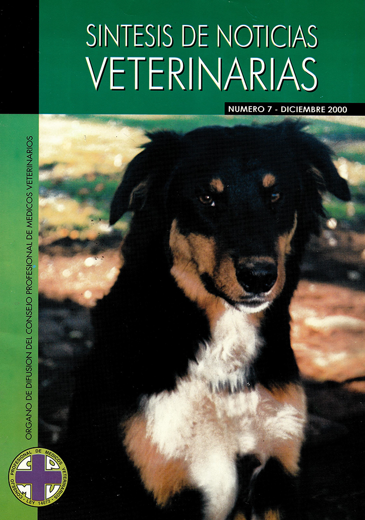 Síntesis Edición Nº07