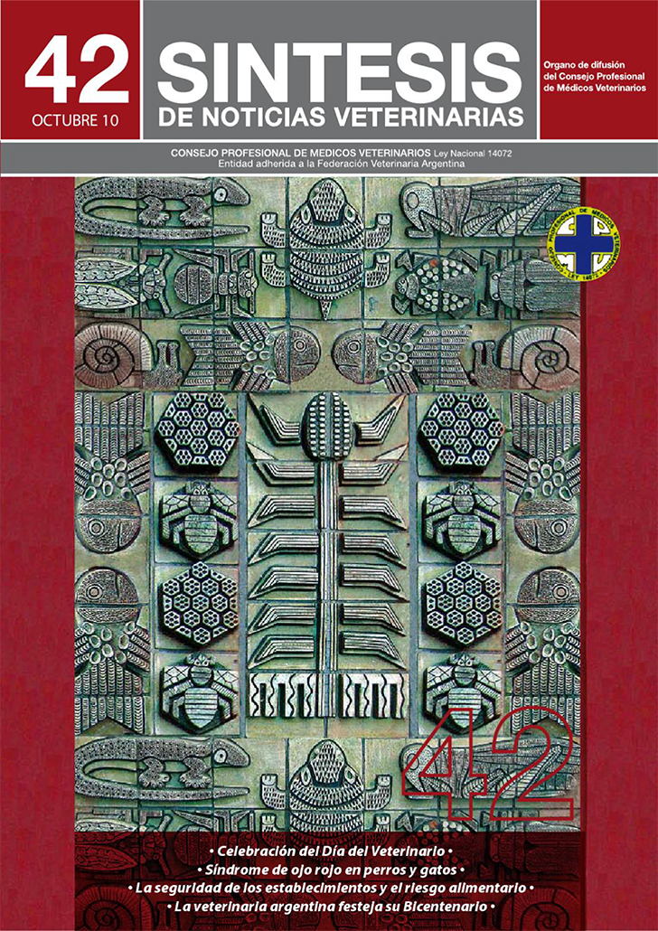 Síntesis Edición Nº42