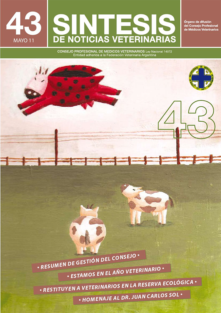 Síntesis Edición Nº43