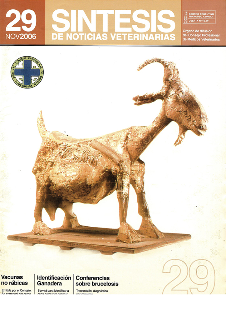 Síntesis Edición Nº29