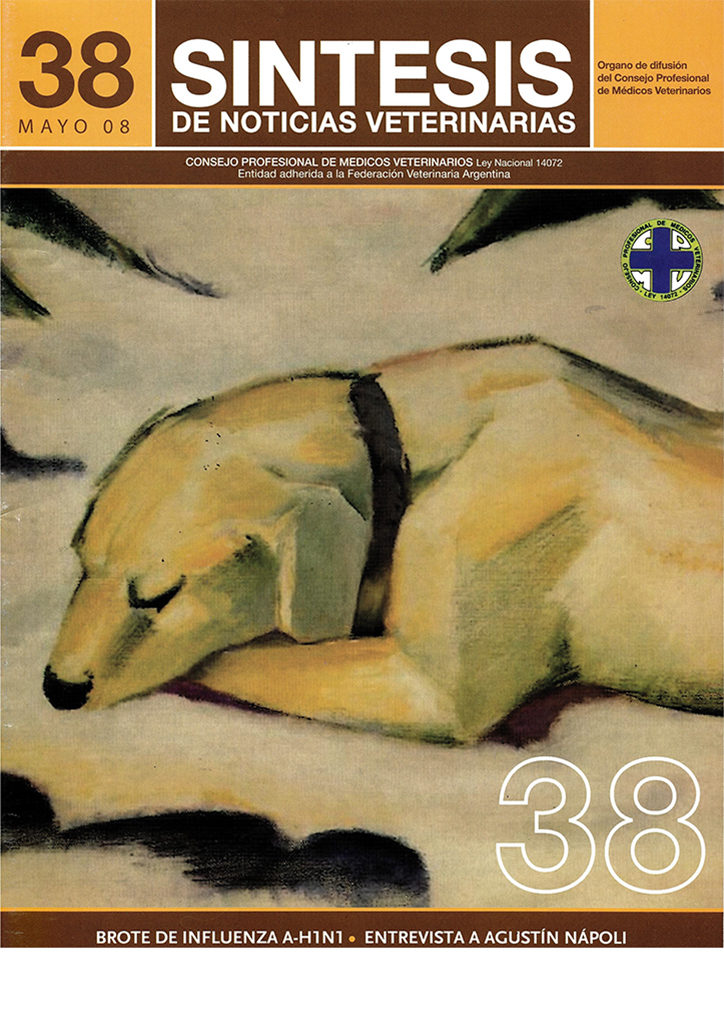 Síntesis Edición Nº38