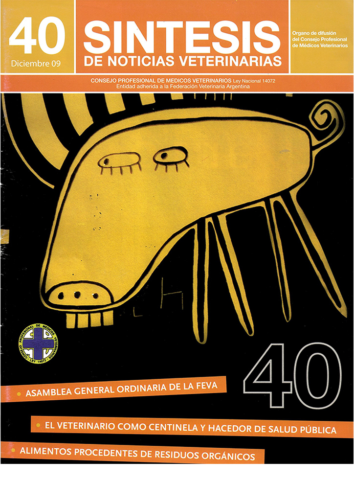 Síntesis Edición Nº40