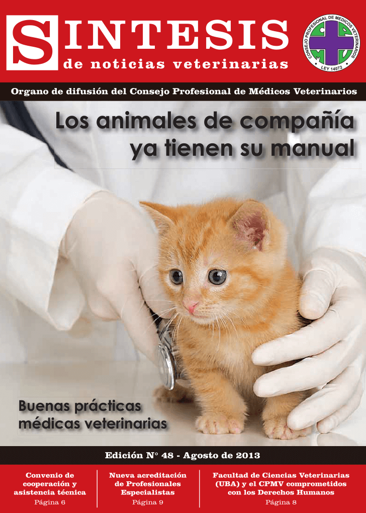 Síntesis Edición Nº48