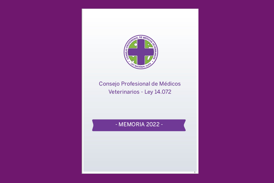 previo Memoria 2021